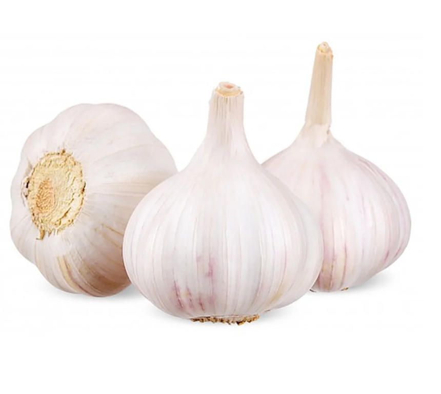 Garlic 5 ct