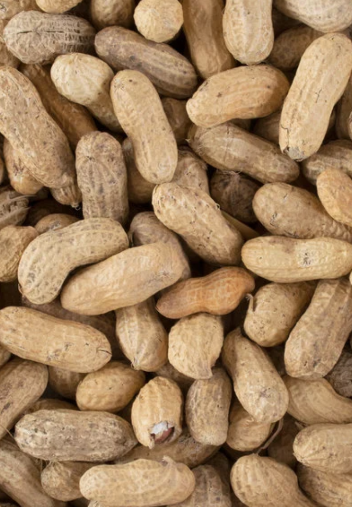 Raw in-shell peanuts